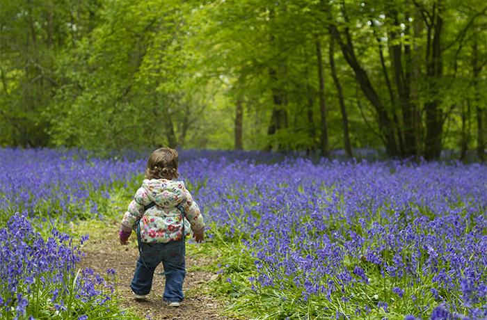 Toddler in the Great Smoky Mountains