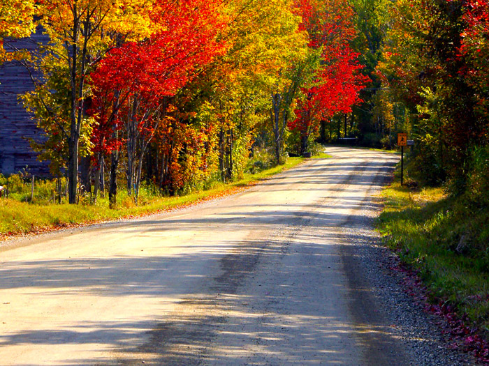 Back Roads in Pigeon Forge, TN