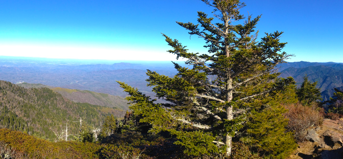 View Of Pigeon Forge From Mt. LeConte