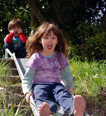 cabin fever movie cabin fever movie