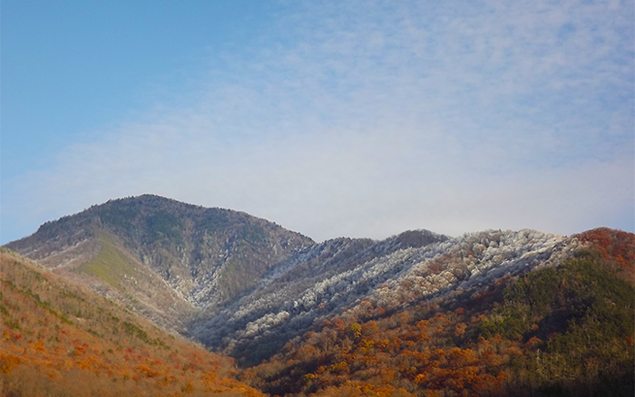 Cambell Overlook Great Smoky Mountains