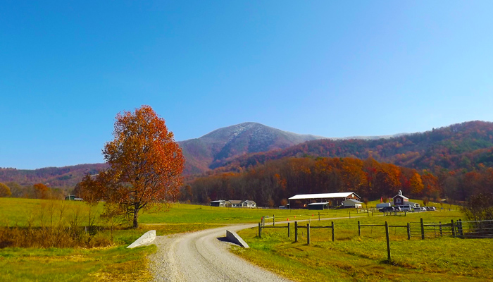 View of Cove Mountain In Wears Valley