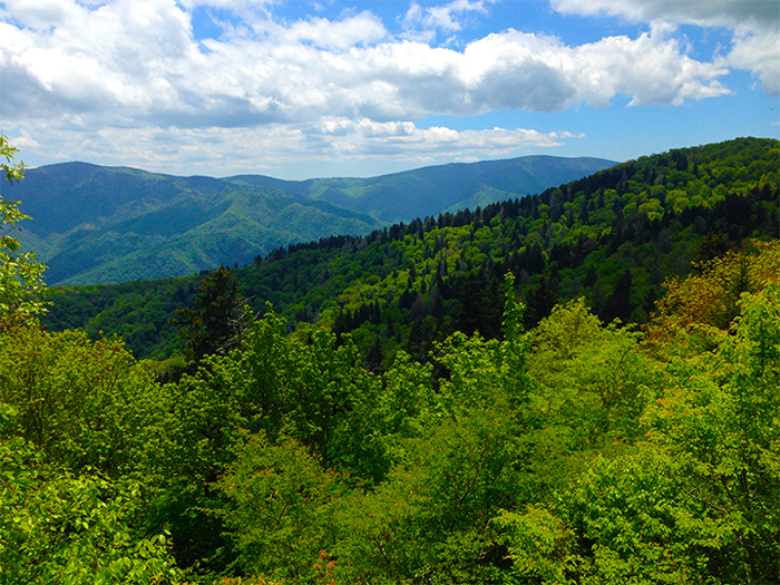 Find Peaceful Spots in the Smoky Mountains