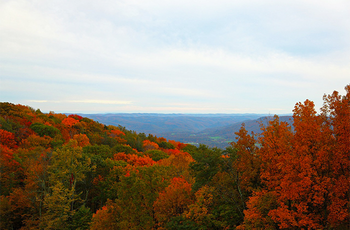 Peak Fall Folliage in the Smoky Mountains