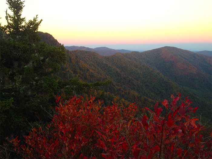 View in the Smoky Mountains in November