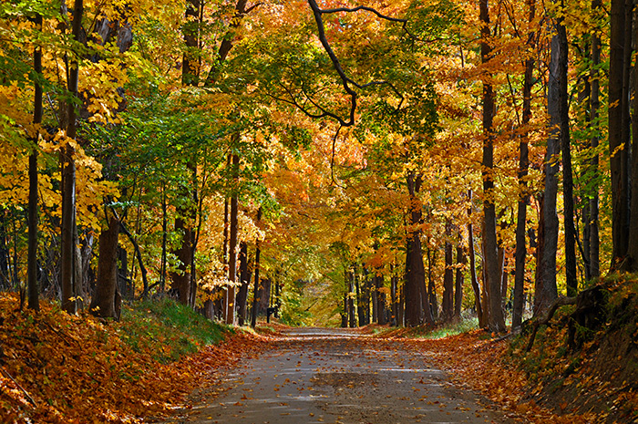 A beautiful fall in the Smokies