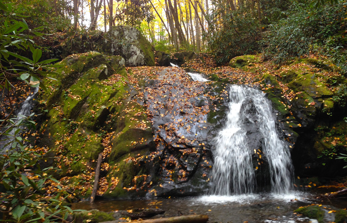 When s The Best Time To Visit Pigeon Forge Tennessee 