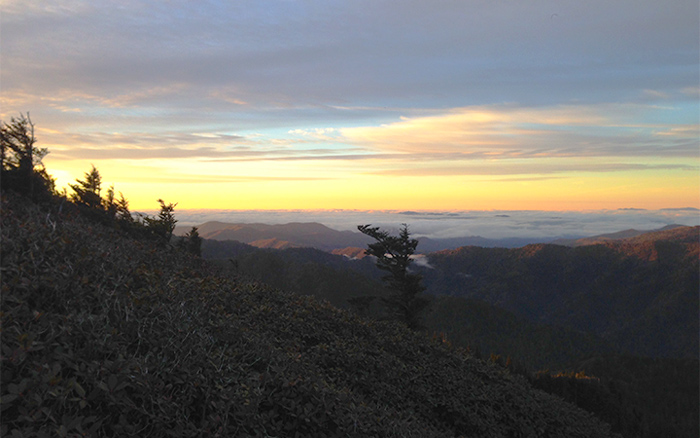 View From Mt. LeConte Smoky Mountains