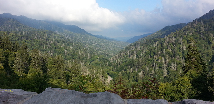 Tennessee Great Smoky Mountains