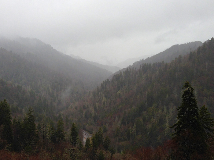 View From Morton Overlook