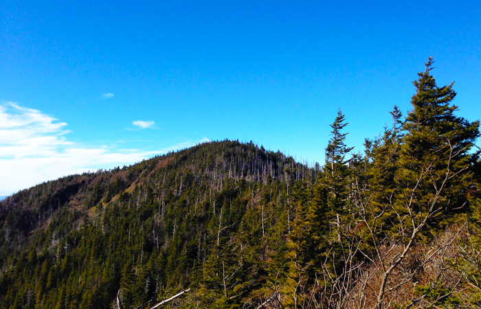 View of Mt. LeConte Summit Near Pigeon Forge