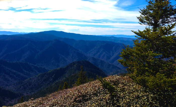 View of Clingman's Dome Great Smoky Mountains