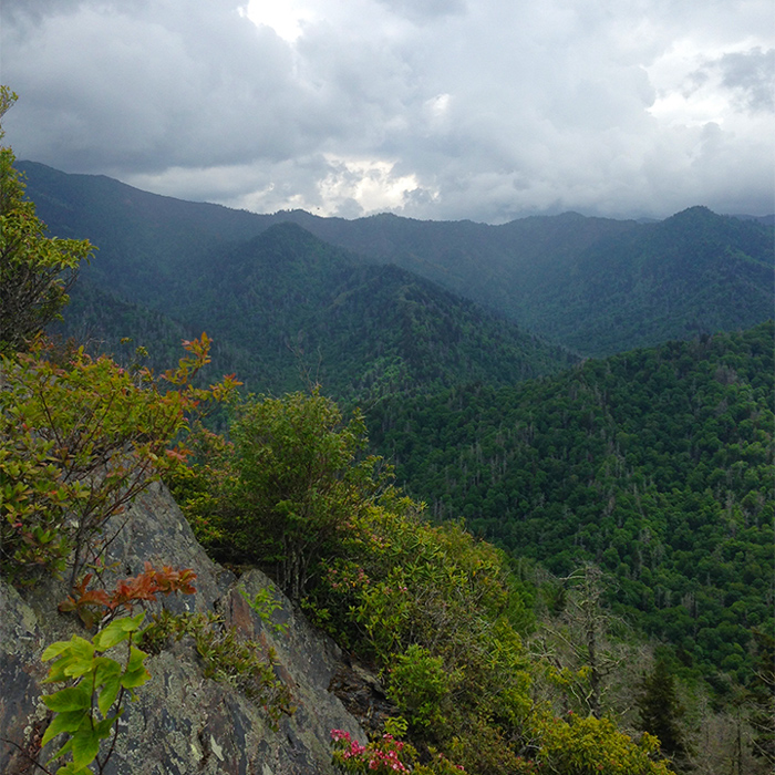 Things To Do When It Rains in Pigeon Forge