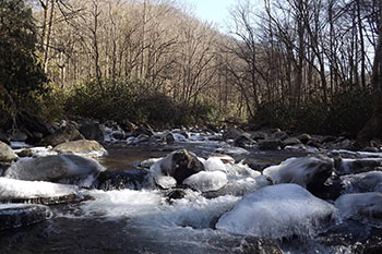 Enjoy Valentines Day 2015 in the Smokies