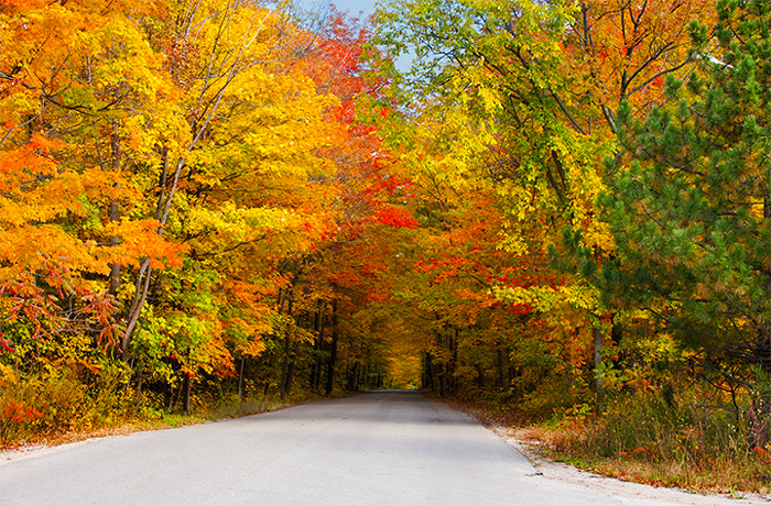 Beautiful Mountain Roads in the Smokies