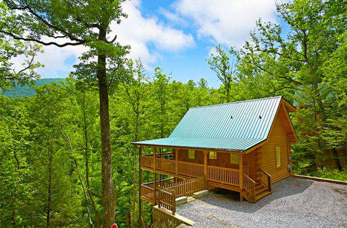 A Bear Abode Private Cabin