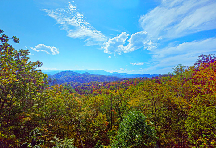 Cabin View in the Smoky Mountains