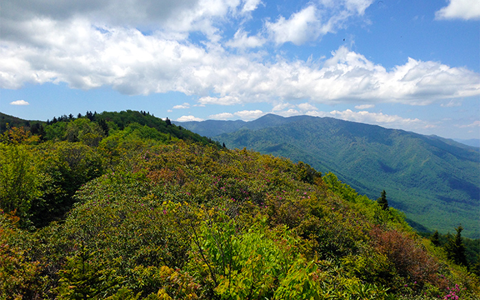 View of the Smoky Mountains