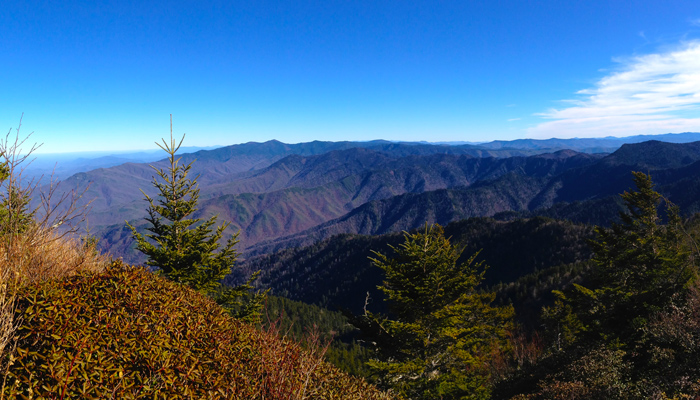 View From Mt. LeConte in January