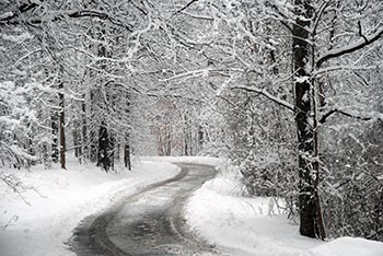 Smoky Mountains Snow