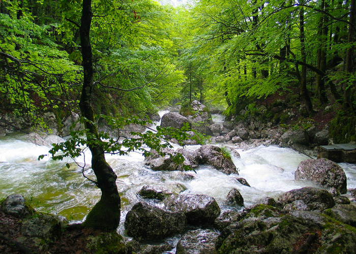 Finding Swimming Holes in the Smokies