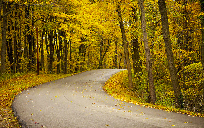 Windy Fall Road in Pigeon Forge, TN