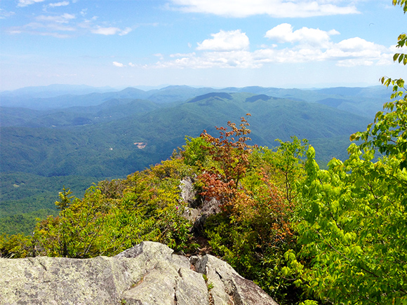 Visit the Great Smoky Mountains National Park