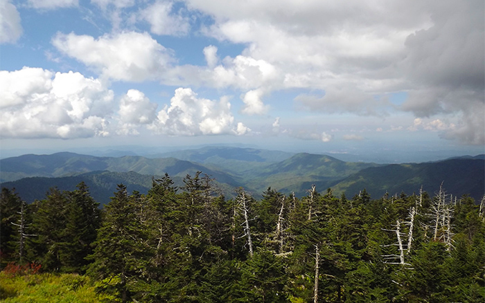 Clingmans Dome Tower View