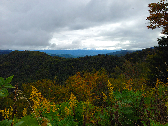 Newfound Gap Overlook