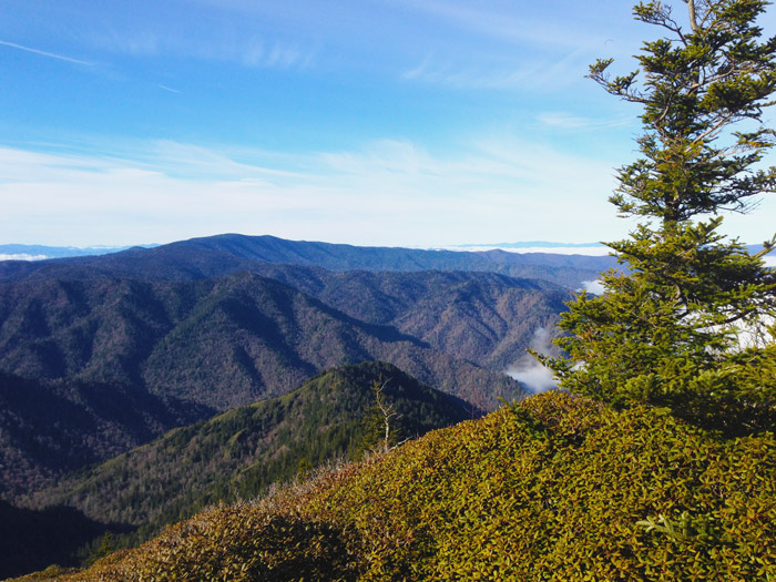 Free Views in the Great Smoky Mountains National Park