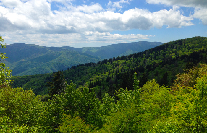 View of the Smoky Mountains in May