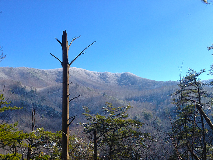 December Snow Smoky Mountains