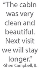Pigeon Forge Cabins USA Guest Comment